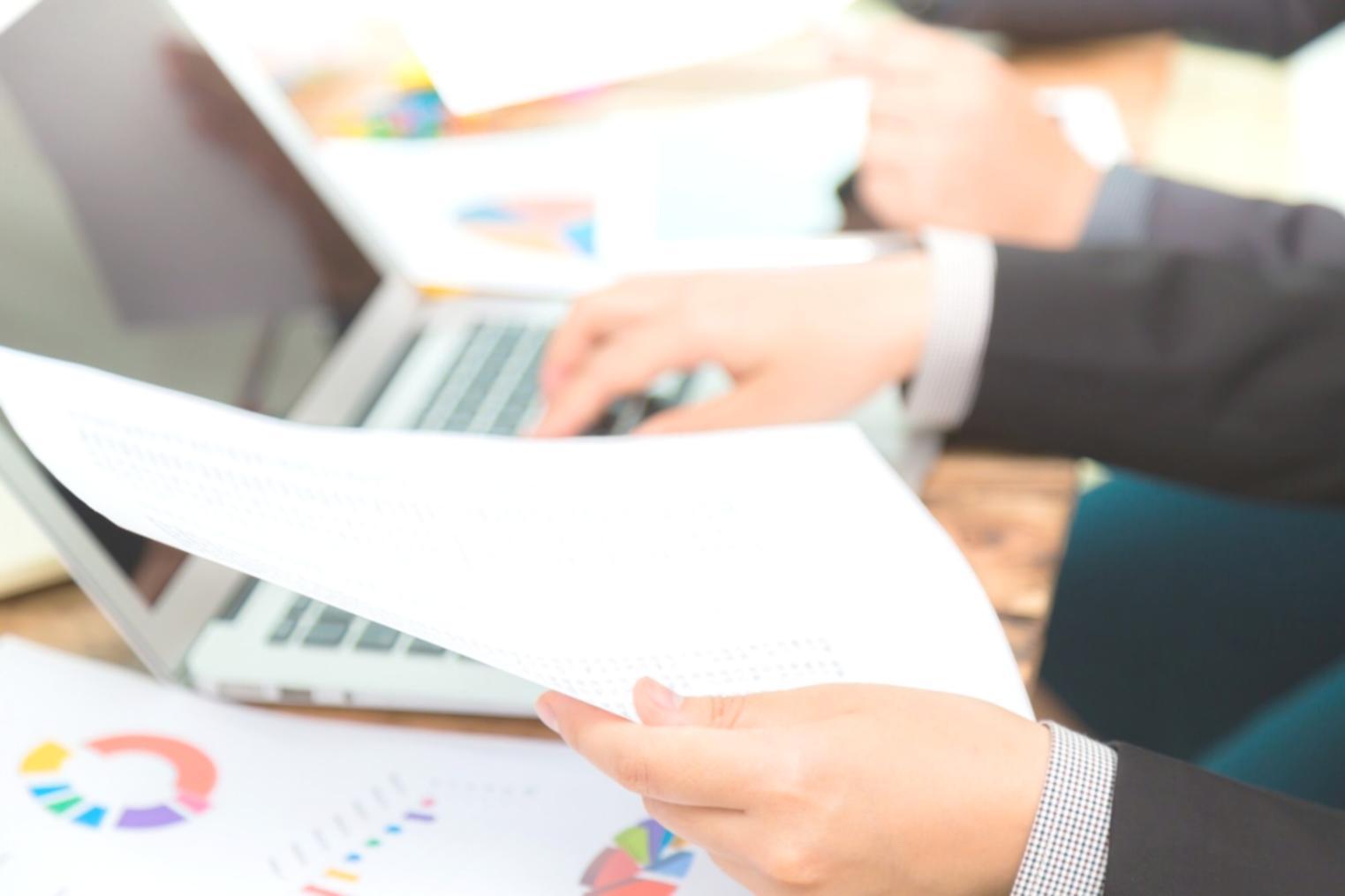 Comprehensive business structure analysis with regulatory framework documentation